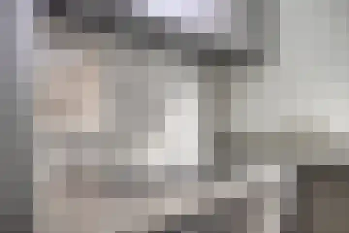 Lambertushof 11 Geldrop thumbnail 32