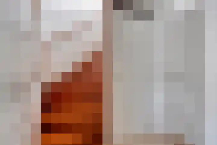 Lambertushof 11 Geldrop thumbnail 35