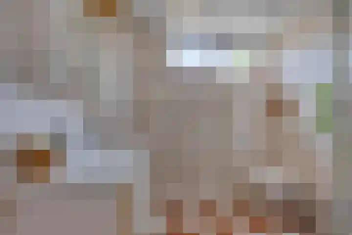 Lambertushof 11 Geldrop thumbnail 39