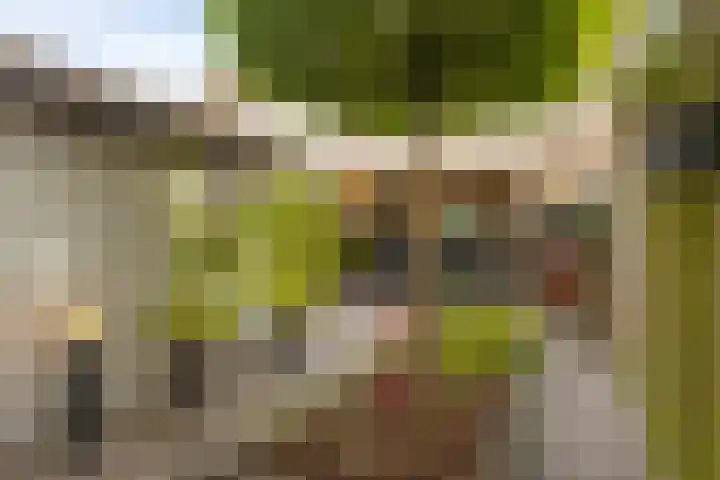 Lambertushof 11 Geldrop thumbnail 4