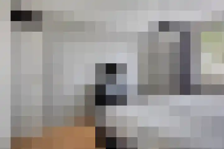 Lambertushof 11 Geldrop thumbnail 44