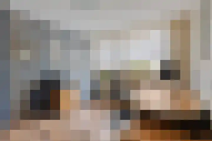 Lambertushof 11 Geldrop thumbnail 45