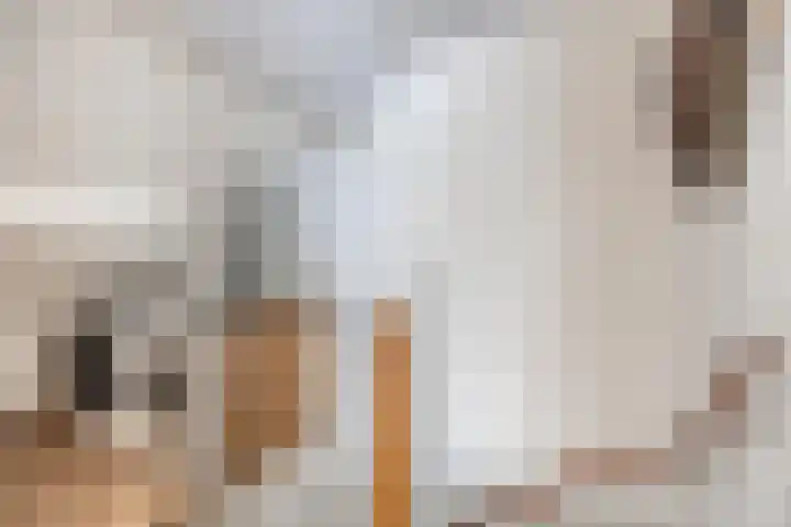 Lambertushof 11 Geldrop thumbnail 47