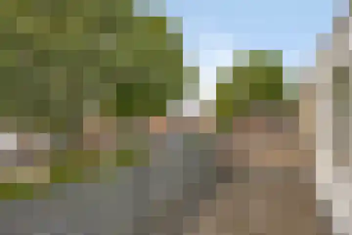 Lambertushof 11 Geldrop thumbnail 51