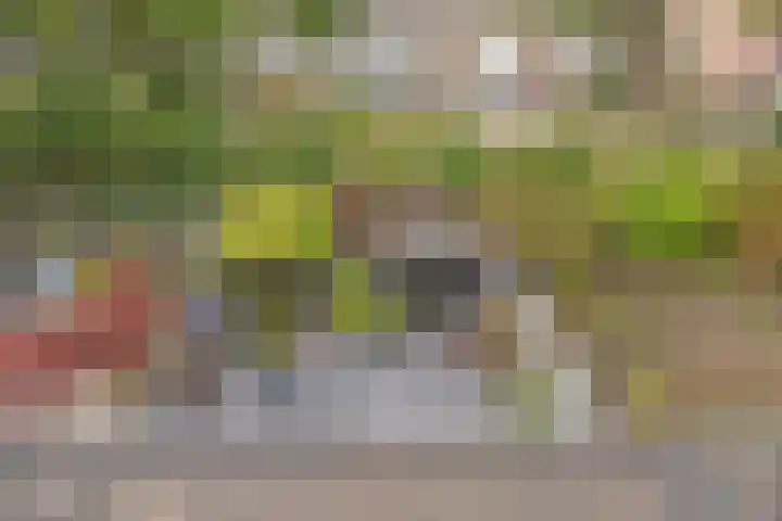 Lambertushof 11 Geldrop thumbnail 53