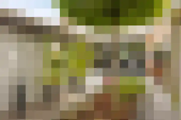 Lambertushof 11 Geldrop thumbnail 54