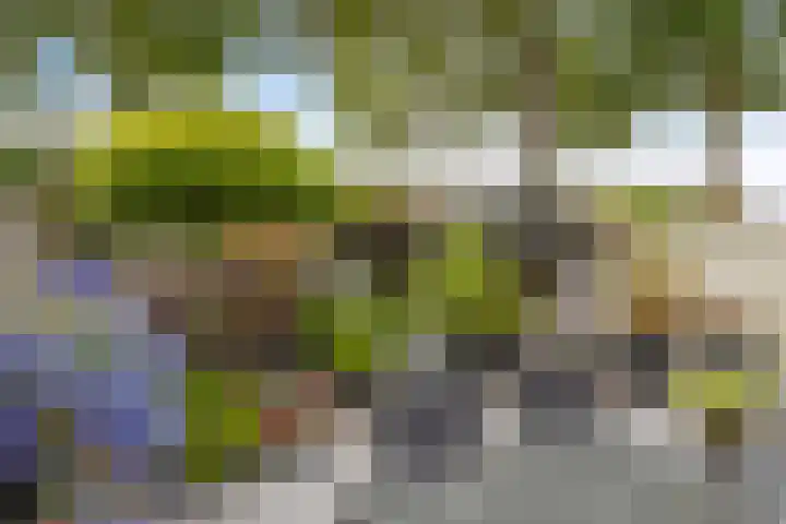 Lambertushof 11 Geldrop thumbnail 56