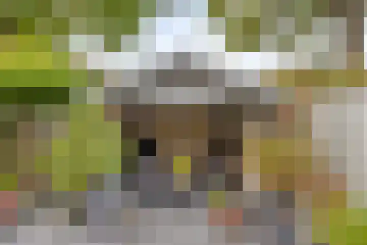 Lambertushof 11 Geldrop thumbnail 57