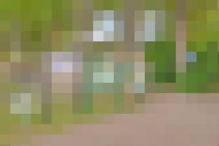 Lambertushof 11 Geldrop thumbnail 60