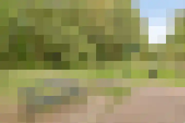 Lambertushof 11 Geldrop thumbnail 61