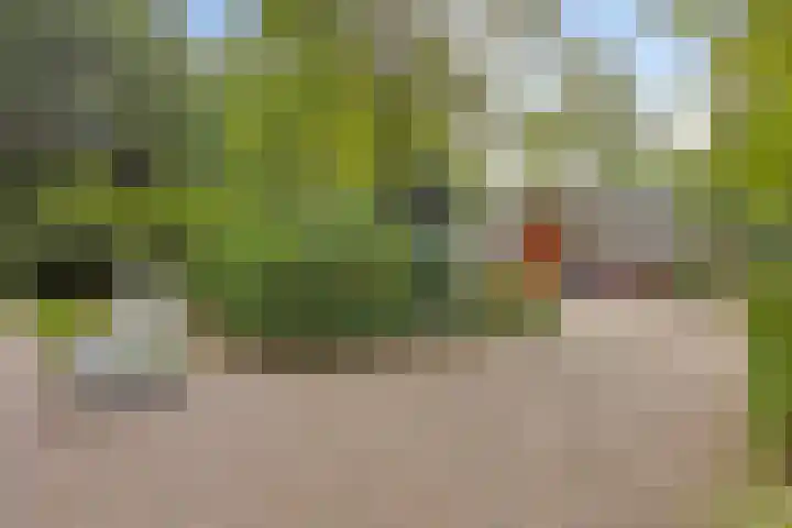 Lambertushof 11 Geldrop thumbnail 62