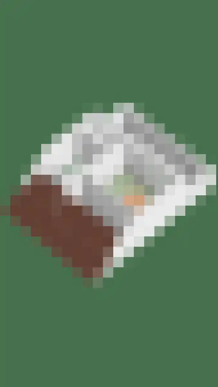 Lambertushof 11 Geldrop thumbnail 70