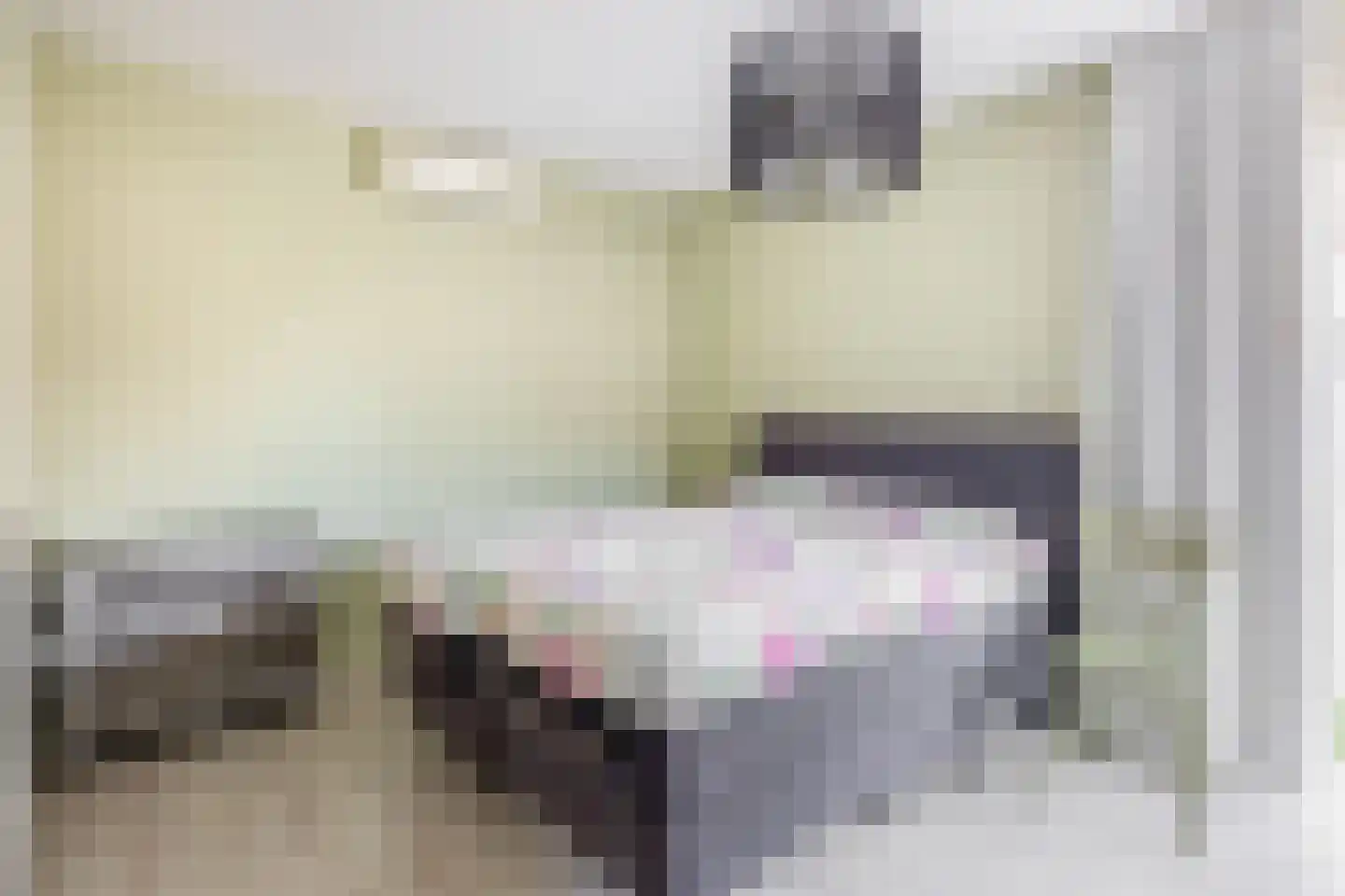 Lambertushof 14 Veghel thumbnail 11