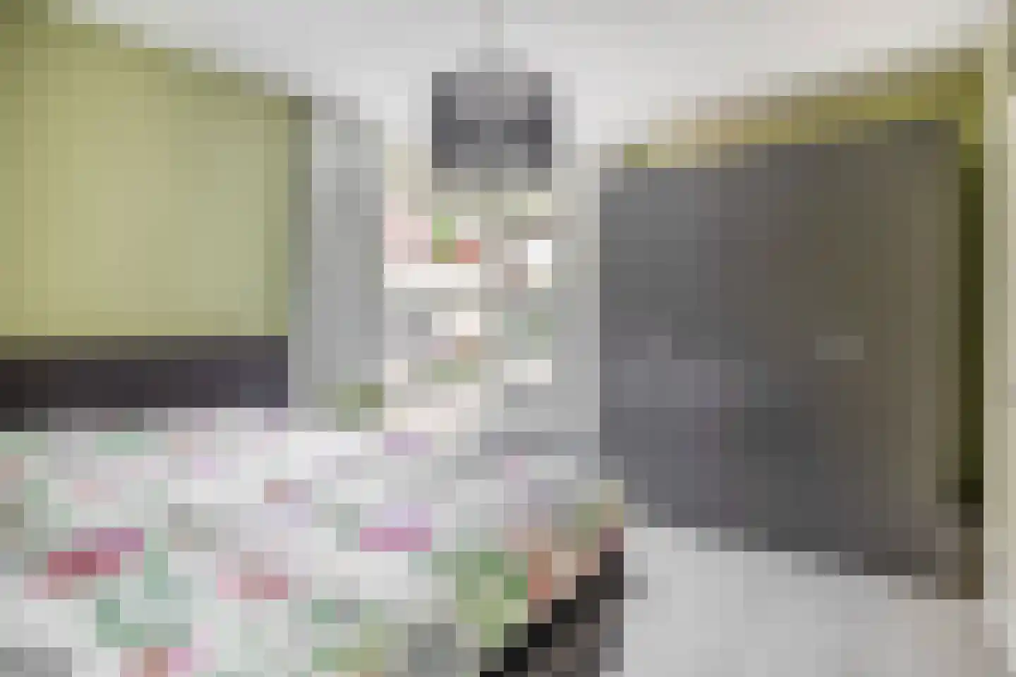 Lambertushof 14 Veghel thumbnail 12
