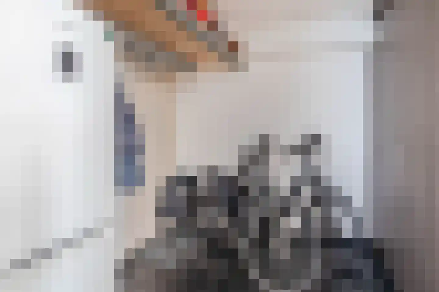 Lambertushof 14 Veghel thumbnail 14