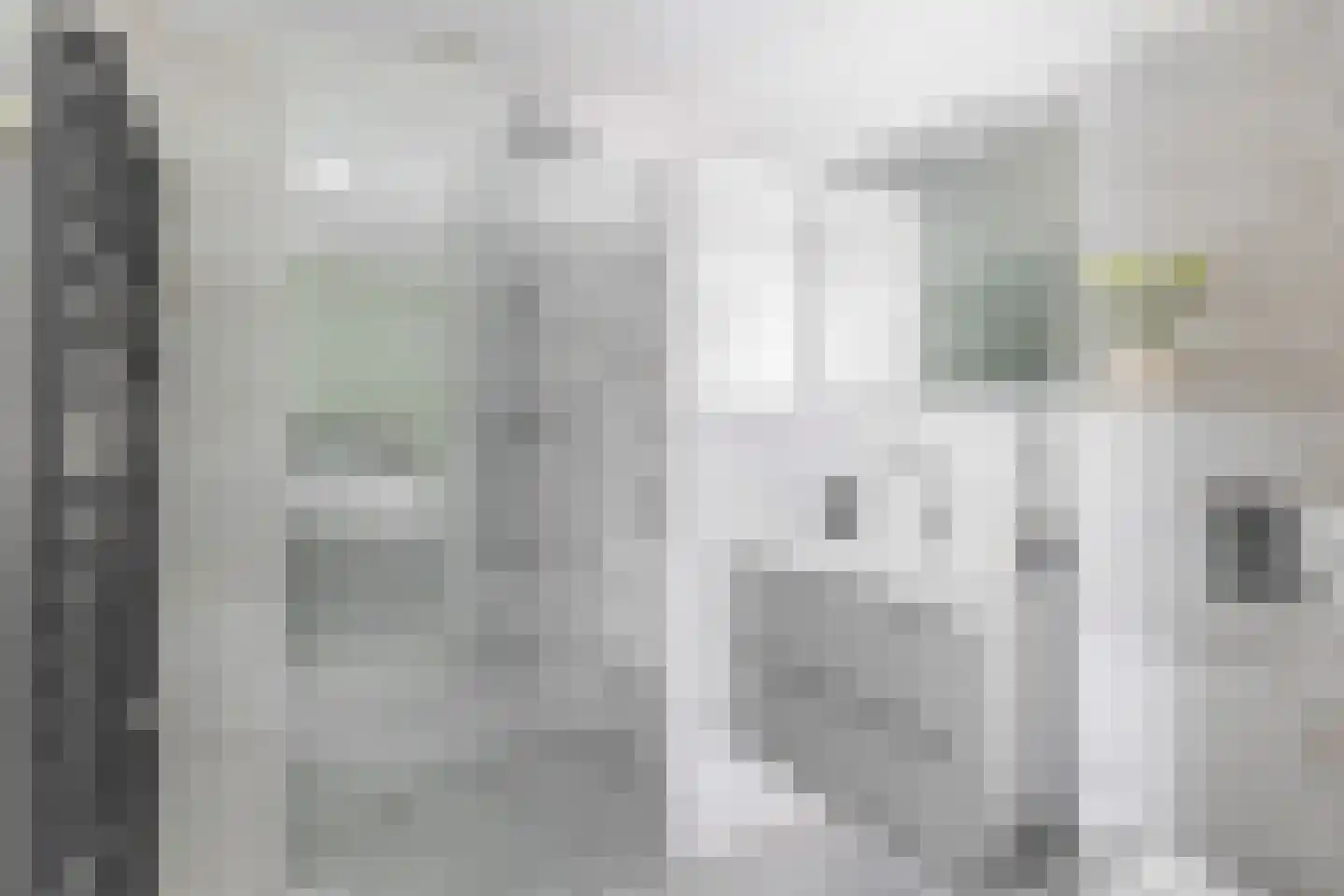 Lambertushof 14 Veghel thumbnail 15