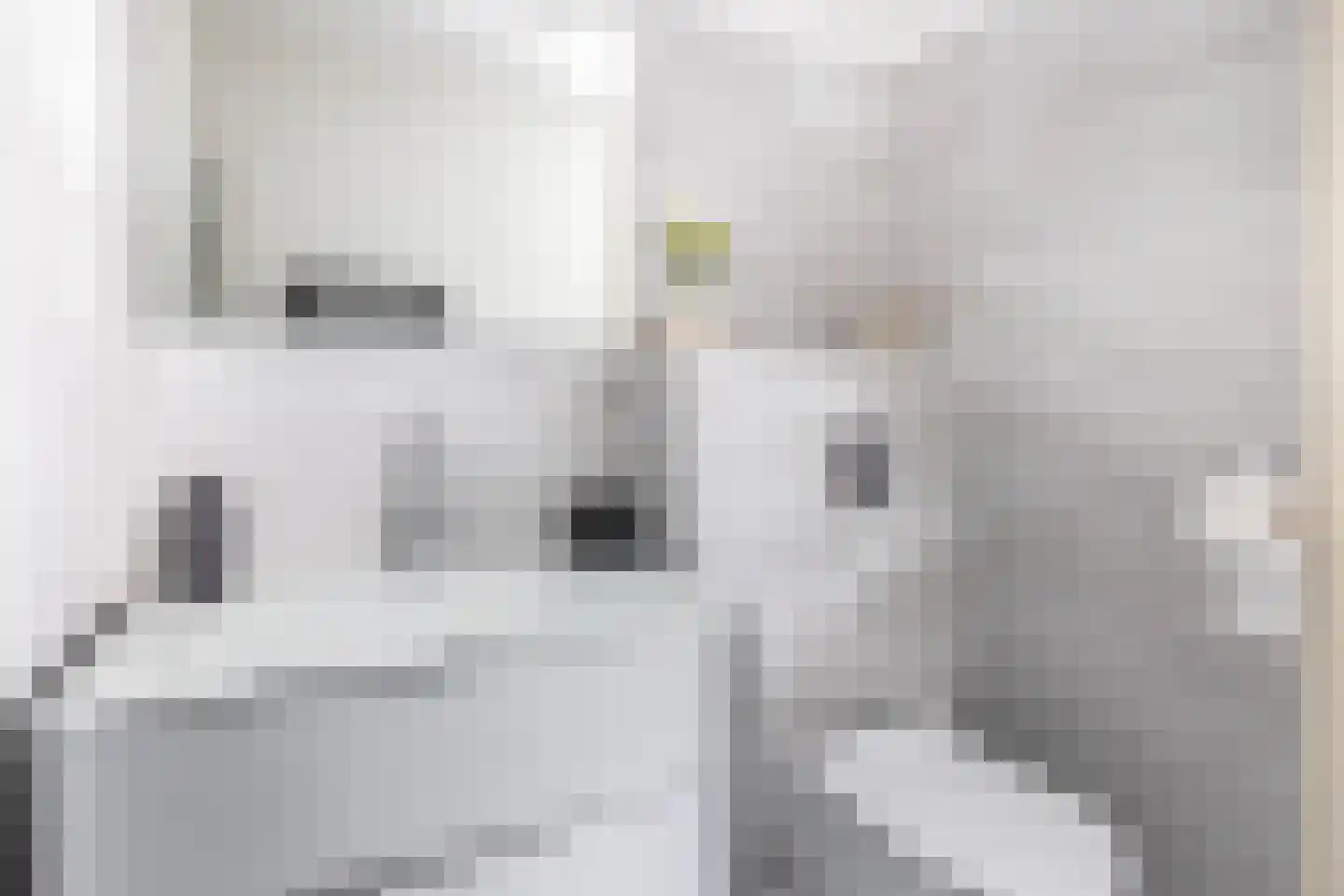 Lambertushof 14 Veghel thumbnail 16