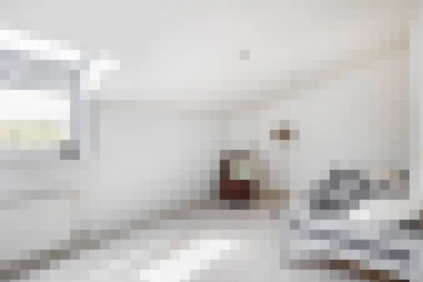 Lambertushof 14 Veghel thumbnail 20