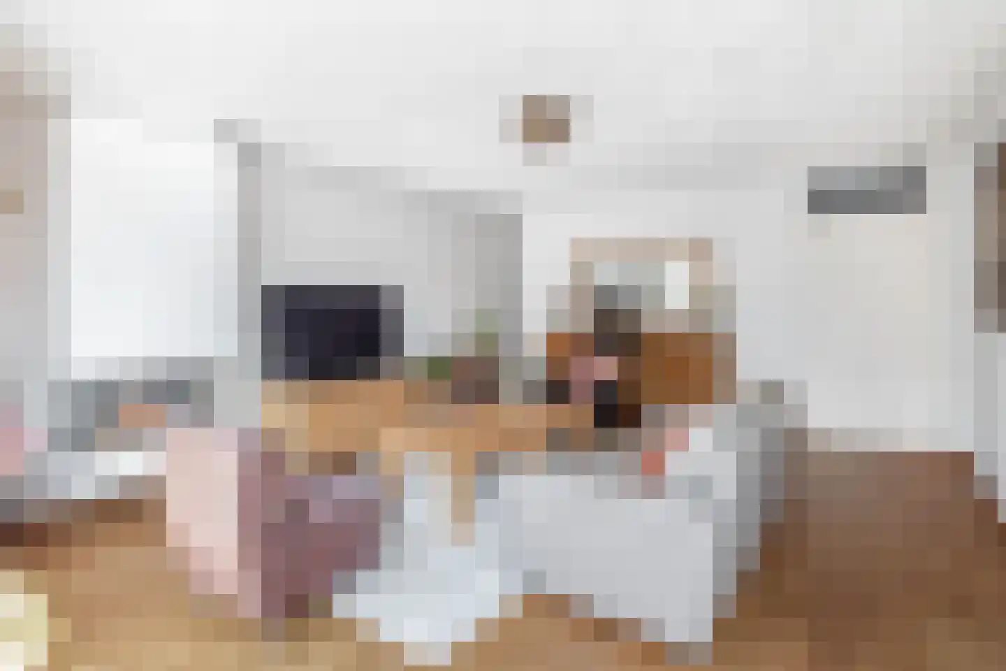 Lambertushof 14 Veghel thumbnail 8