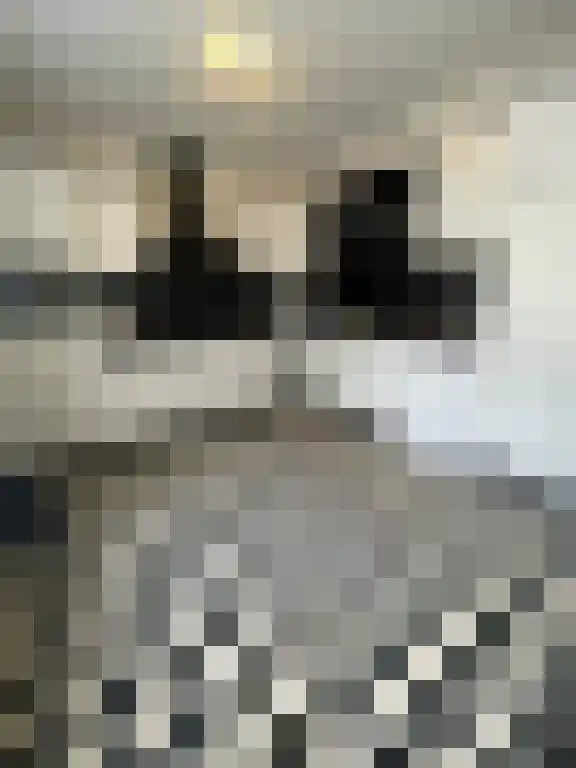 Lambertushof 16 Schijndel thumbnail 4