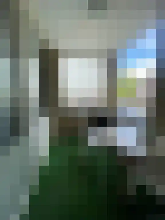 Lambertushof 16 Schijndel thumbnail 6