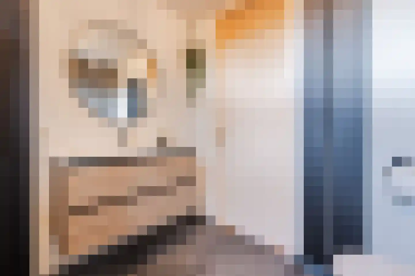 Lambertushof 47 Geldrop thumbnail 29