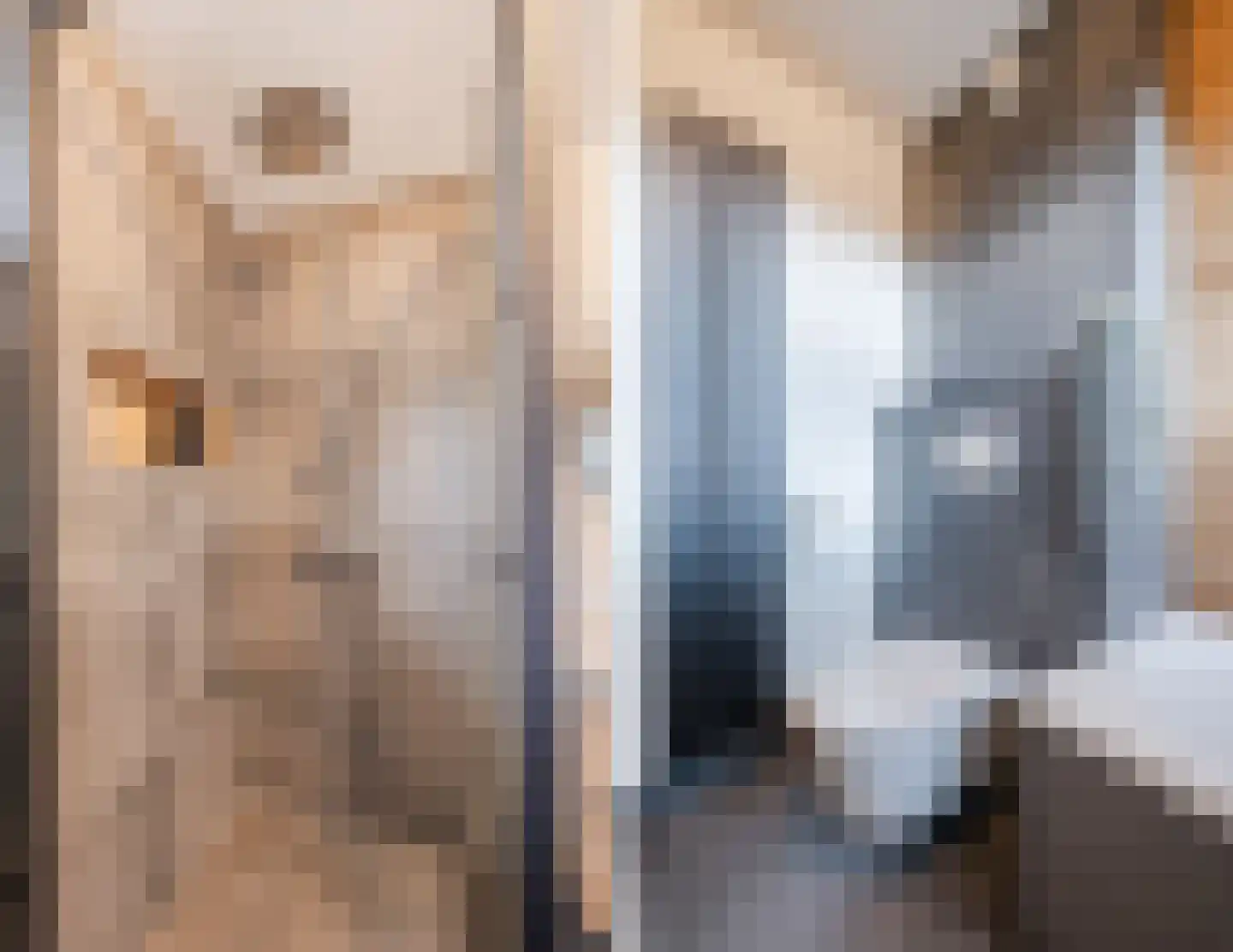 Lambertushof 47 Geldrop thumbnail 30