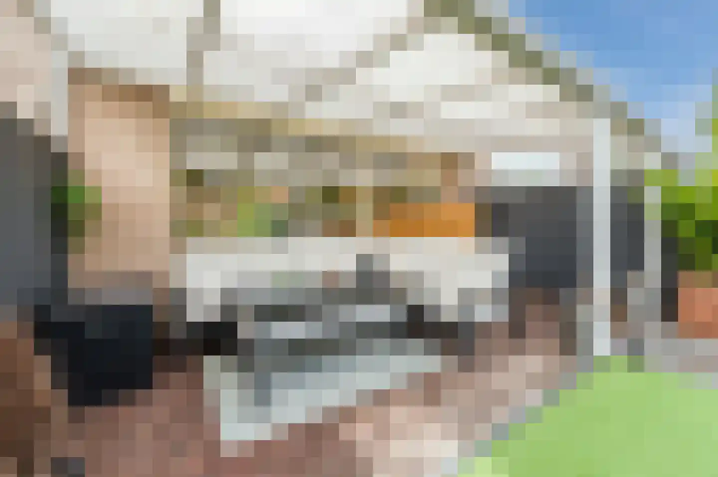 Lambertushof 47 Geldrop thumbnail 36