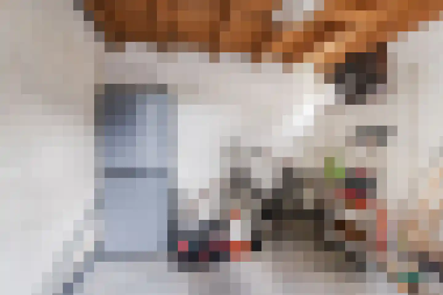 Lambertushof 47 Geldrop thumbnail 38