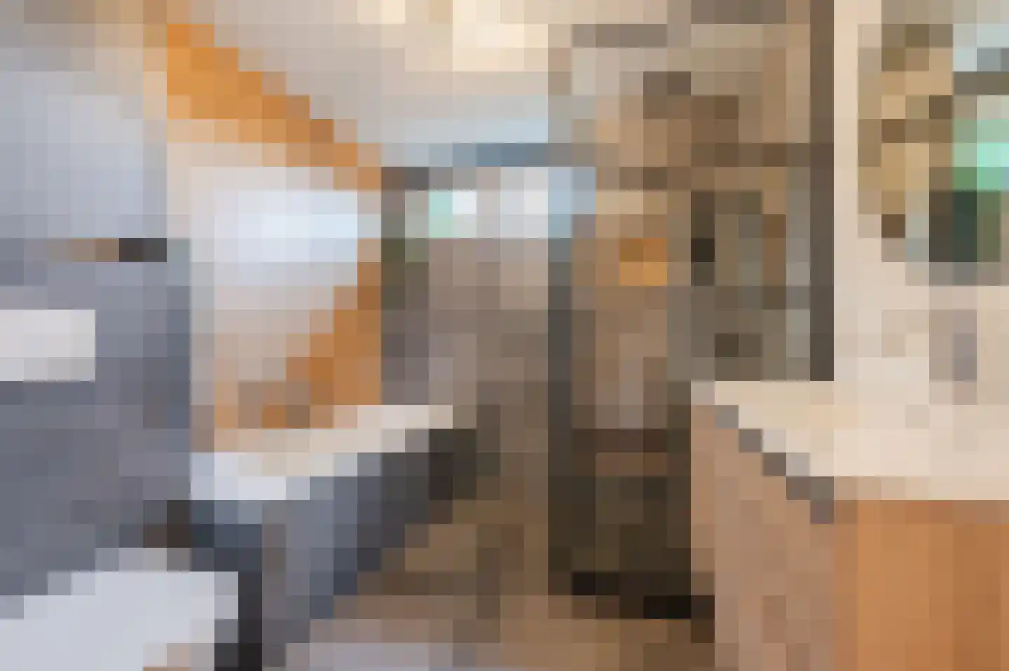 Lambertushof 47 Geldrop thumbnail 4