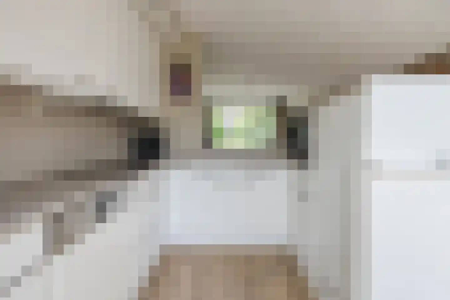 Lambertushof 49 Geldrop thumbnail 17