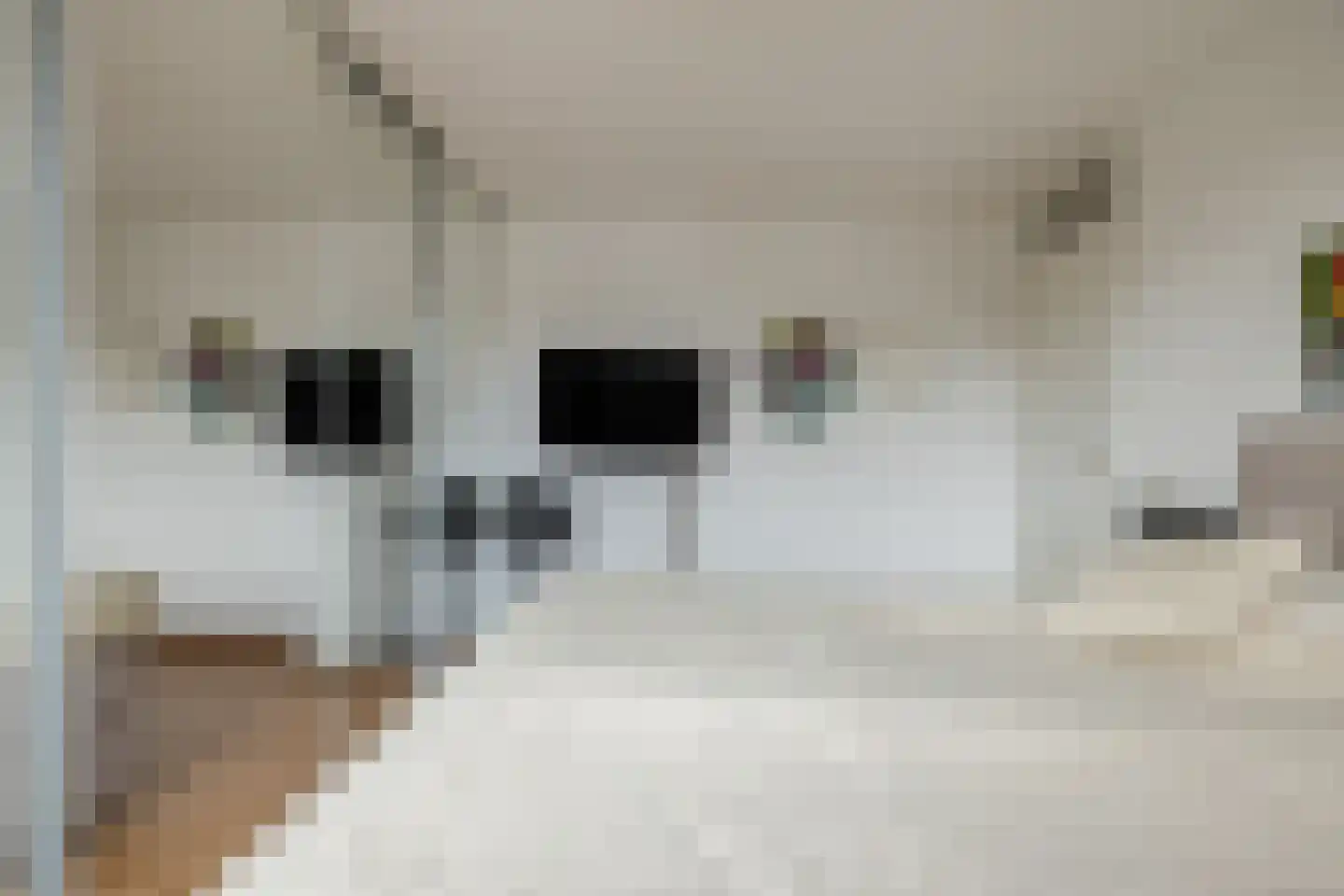 Lambertushof 49 Geldrop thumbnail 24