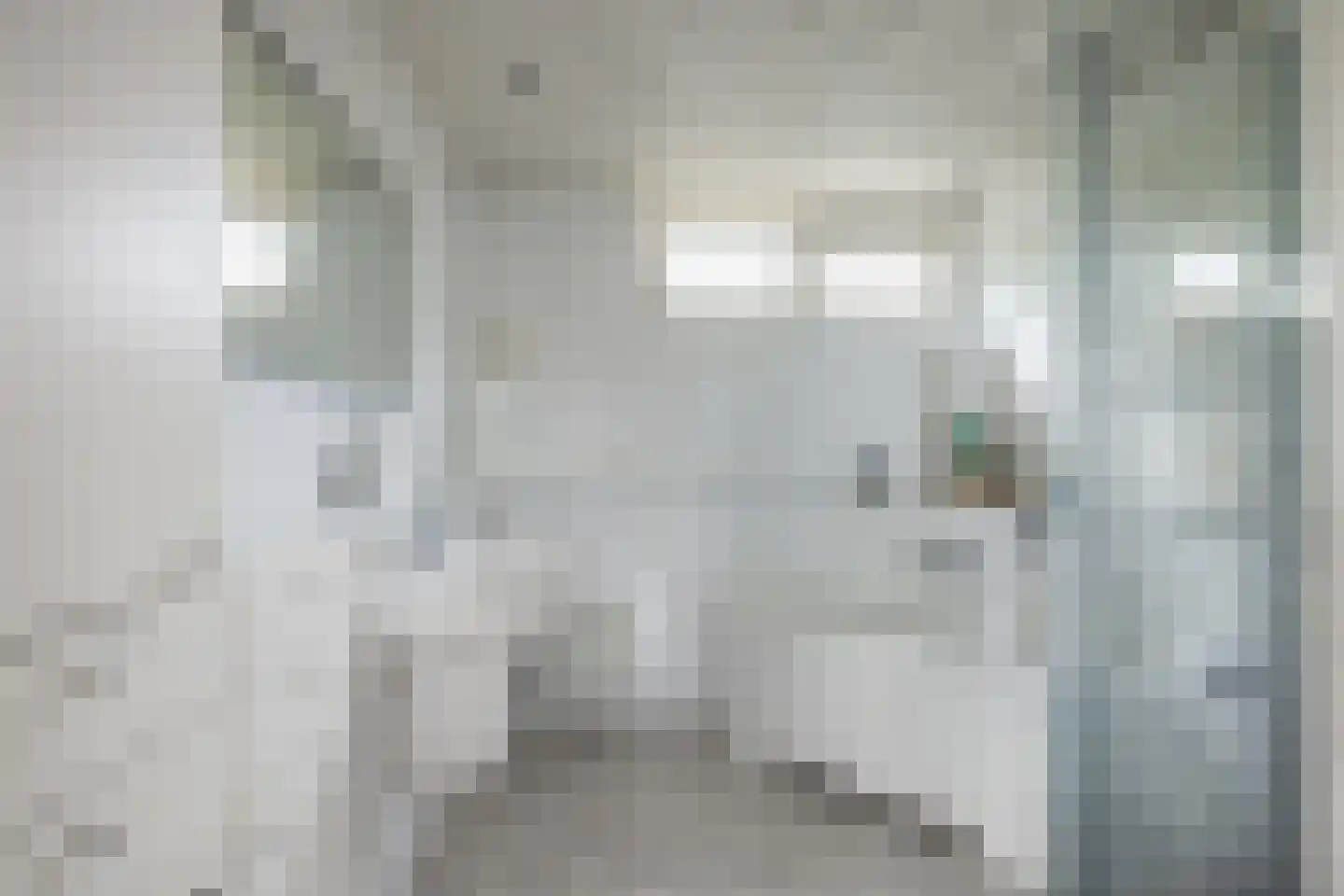 Lambertushof 49 Geldrop thumbnail 30