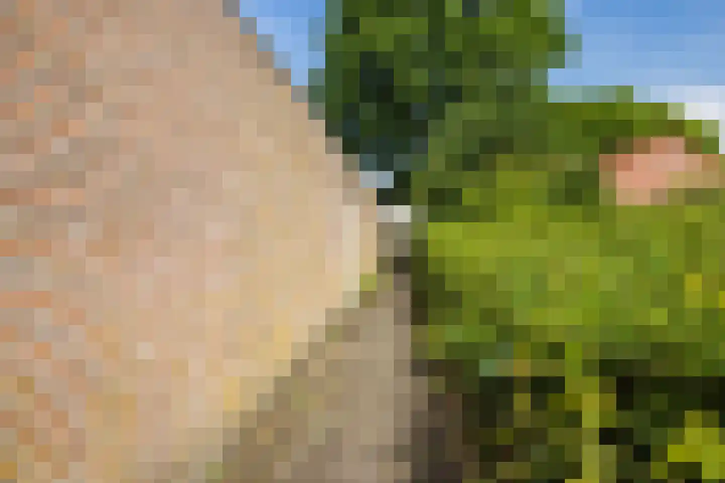 Lambertushof 49 Geldrop thumbnail 39