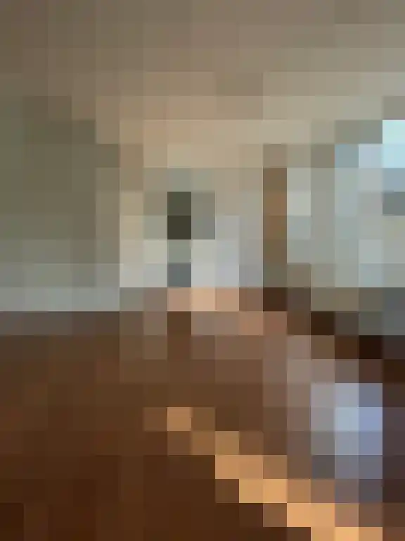 Lambertushof 5 Schijndel thumbnail 5