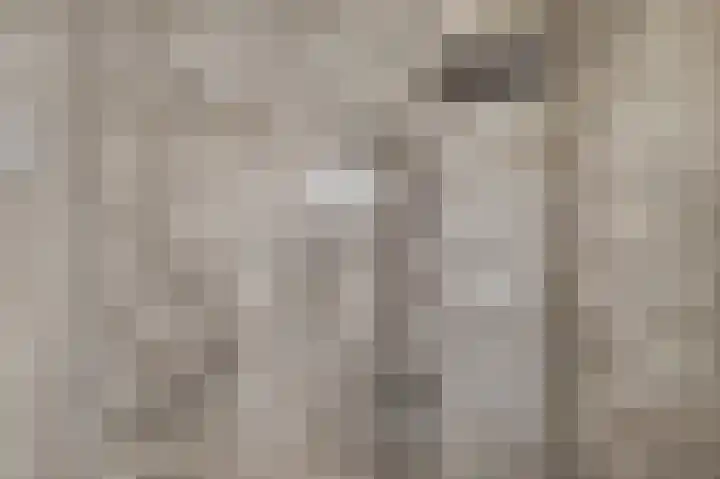 Lambertushof 9 Helmond thumbnail 32