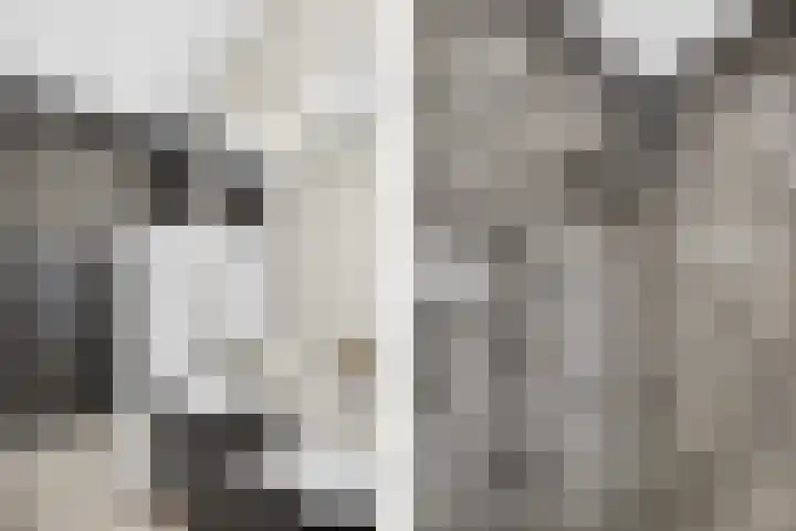 Lambertushof 9 Helmond thumbnail 33