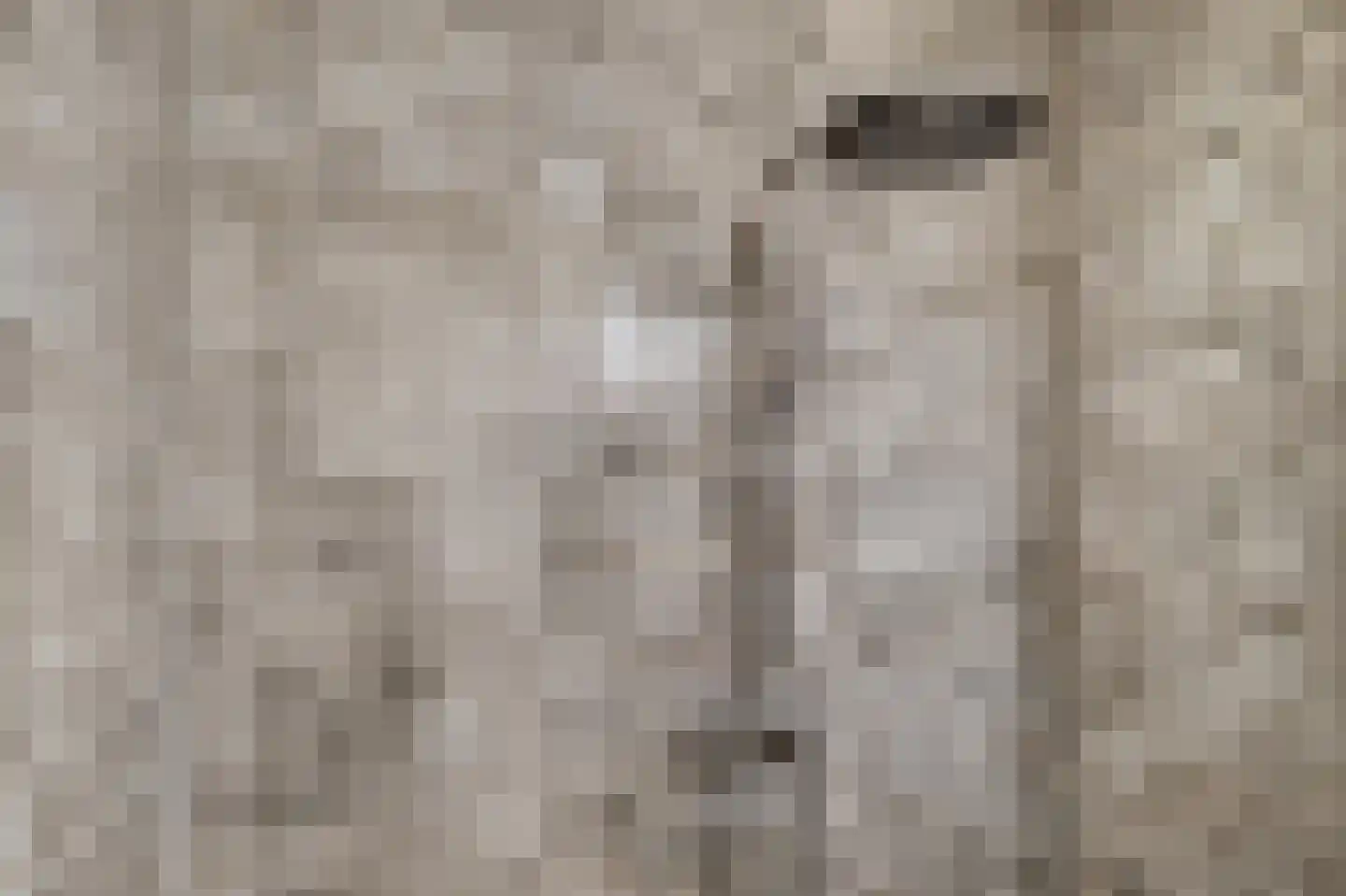 Lambertushof 9 Helmond thumbnail 33