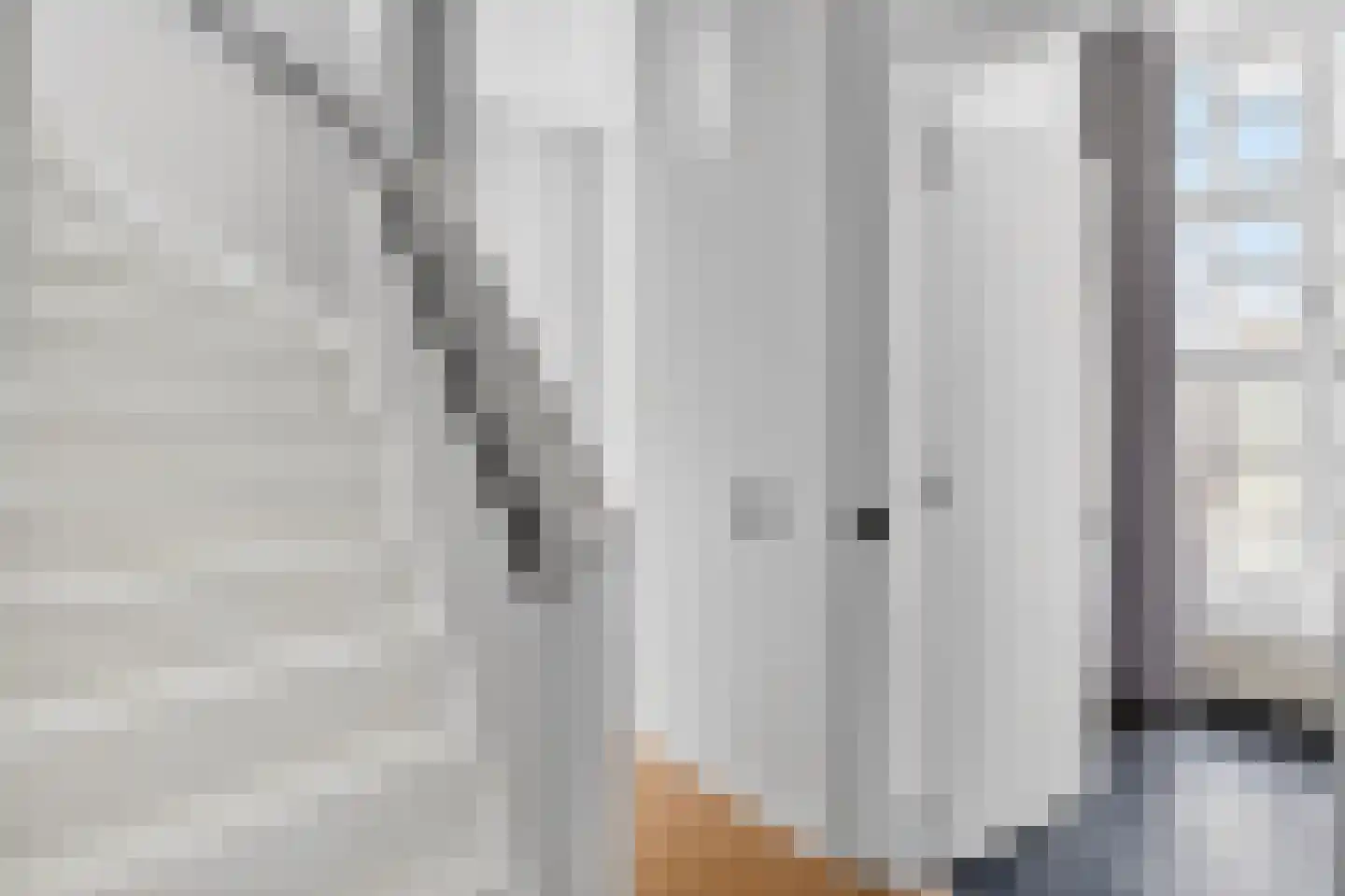Lambertushof 9 Helmond thumbnail 35