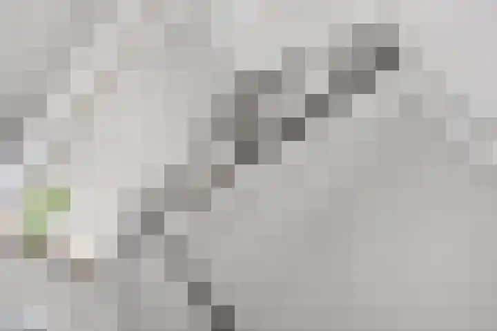 Lambertushof 9 Helmond thumbnail 8