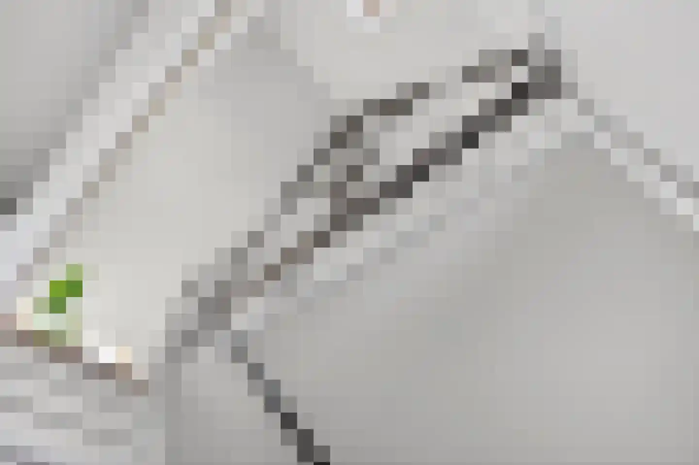 Lambertushof 9 Helmond thumbnail 9