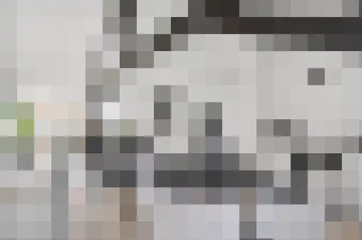 Lambertushof 9 Helmond thumbnail 9