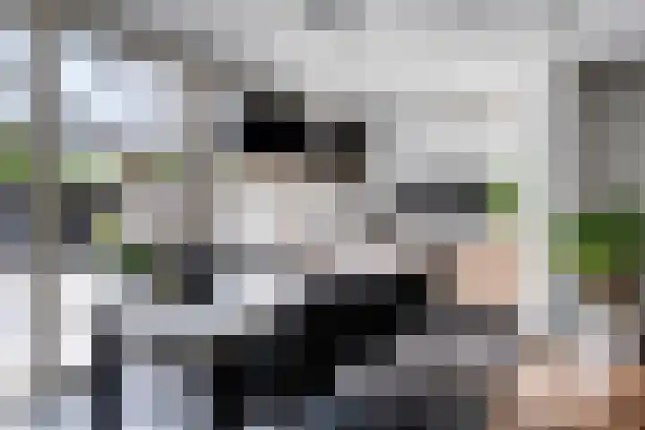 Lambertushof 92 Geldrop thumbnail 16