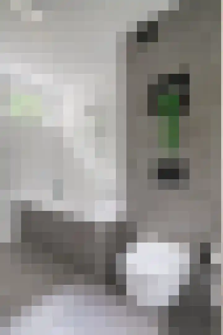 Lambertushof 92 Geldrop thumbnail 24