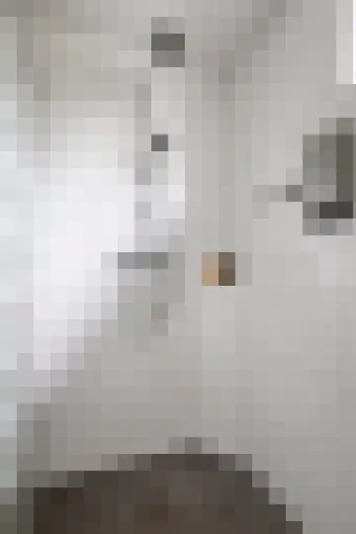 Lambertushof 92 Geldrop thumbnail 28