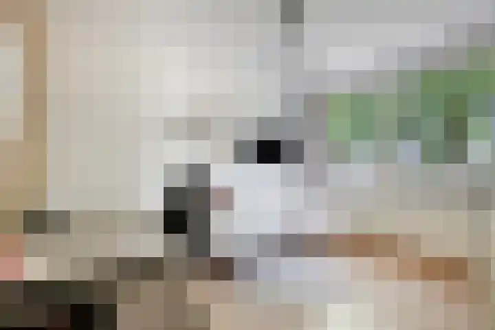 Lambertushof 92 Geldrop thumbnail 29