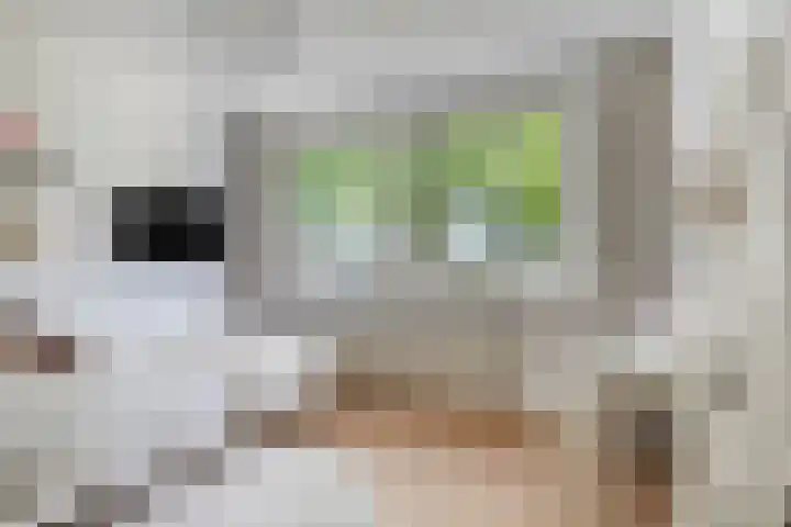 Lambertushof 92 Geldrop thumbnail 30