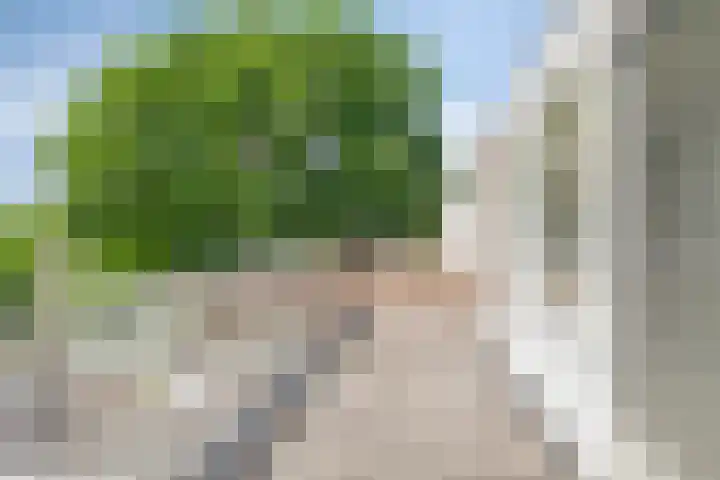 Lambertushof 92 Geldrop thumbnail 37