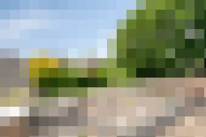Lambertushof 92 Geldrop thumbnail 39
