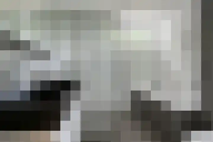 Lambertushof 92 Geldrop thumbnail 4